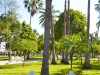 Parques y Jardines -