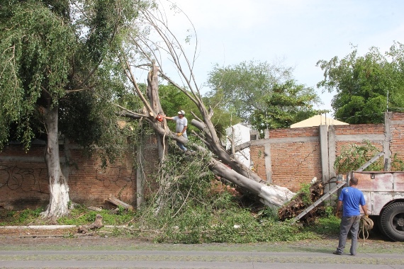lluvia 26062015 (2)