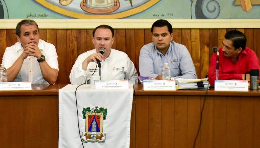 24 ENE SESION CABILDO