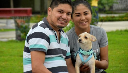 photo4902571827285567411