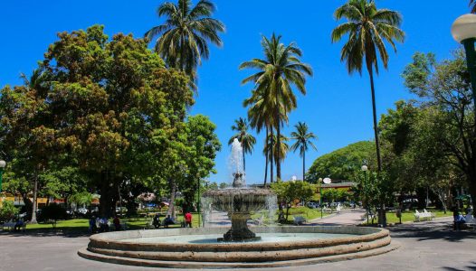 WhatsApp Image 2017-05-11 at 20.42.14