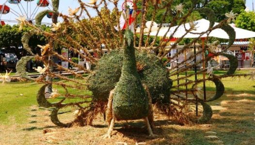 photo4933961462624397234