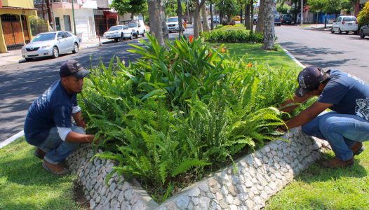 WhatsApp Image 2017-07-07 at 19.24.22