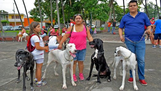 WhatsApp Image 2017-07-24 at 17.44.36