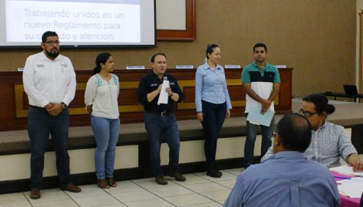 WhatsApp Image 2017-07-25 at 19.57.30