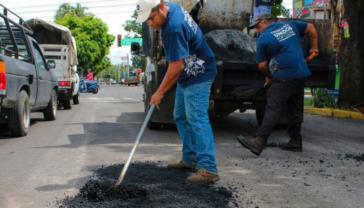 COLIMA BACHEO