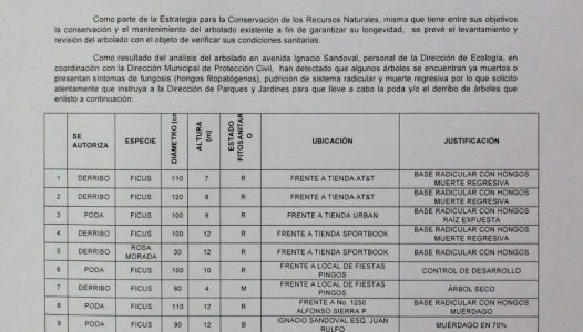 WhatsApp Image 2017-09-14 at 18.13.57 (1)