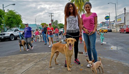 COLIMA PLAN FORO (2)