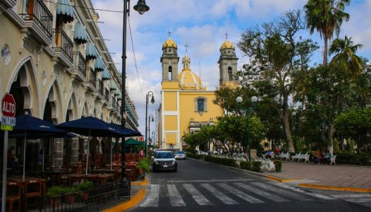 photo5154821484282226671