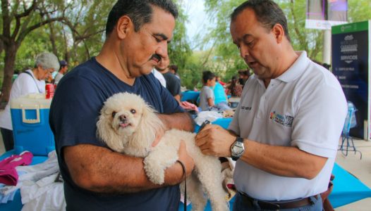 photo5163921124118079453