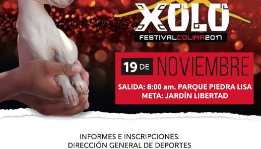 WhatsApp Image 2017-11-15 at 13.55.22