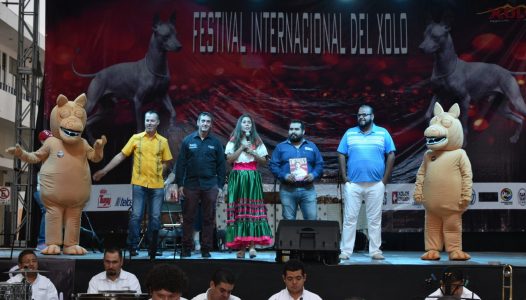 photo4940945848246839272