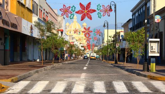 ayuntamiento-de-colima-implementa-cuidados-al-nuevo-arbolado-de-la-calle-madero
