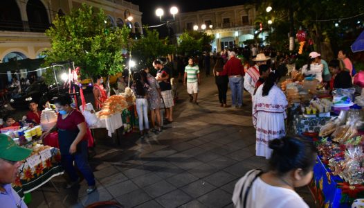 pc-municipal-colima-listo-para-maximo-festejo-guadalupano