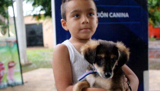 todo-un-exito-la-feria-de-adopcion-de-mascotas-de-la-capital