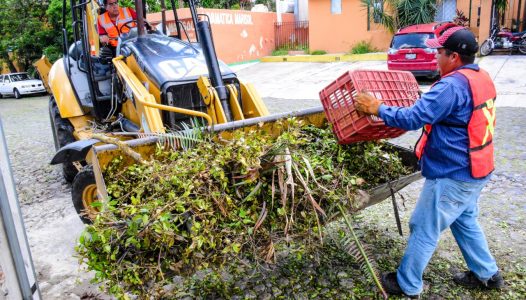 Este miércoles continúa recolección de ramas