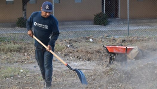 reforzara-ayuntamiento-capitalino-programa-vecino-vigilante