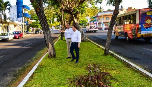 es-constante-la-recuperacion-y-embellecimiento-de-camellones-capitalinos