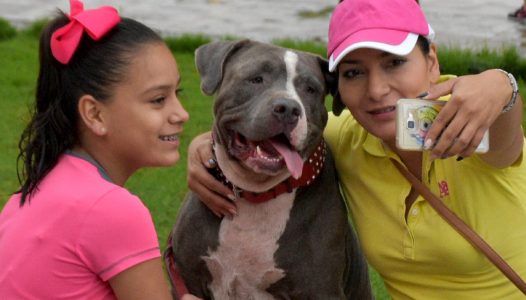 feria-de-adopcion-canina-este-03-de-marzo