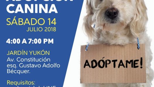 Ayuntamiento capitalino invita a Feria de Adopción Canina y Felina, este sábado -