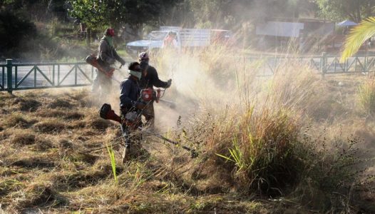 ayuntamiento-de-colima-invita-a-mantener-limpios-sus-lotes-baldios