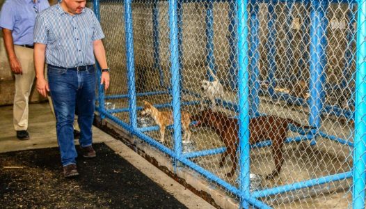 hector-insua-supervisa-remodelacion-del-centro-de-control-canino-y-felino