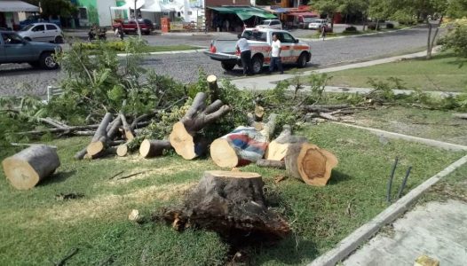pc-municipal-colima-atendio-siete-contingencias-por-lluvia-del-viernes