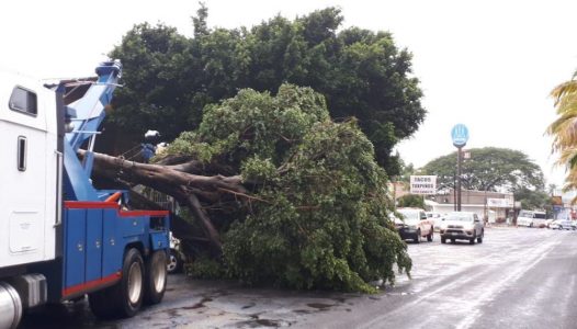 proteccion-civil-municipal-de-colima-exhorta-a-reportar-contingencias