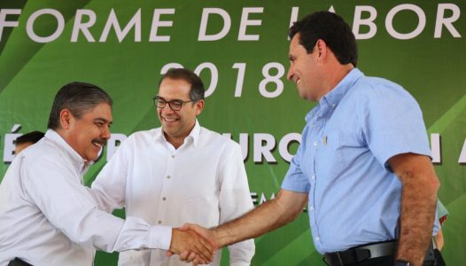 Informe 04