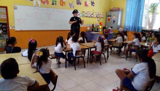 Vialidad 04